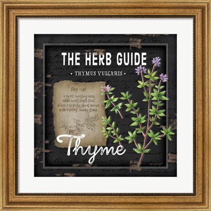 Framed Herb Guide Thyme Print