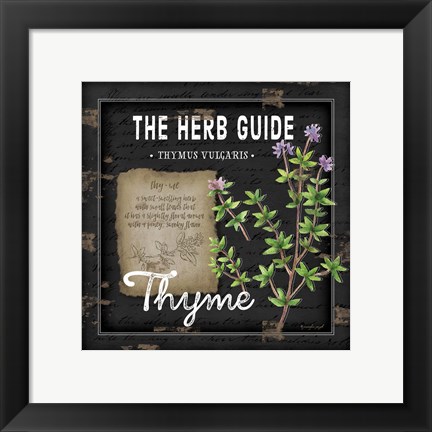 Framed Herb Guide Thyme Print