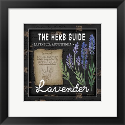 Framed Herb Guide Lavender Print