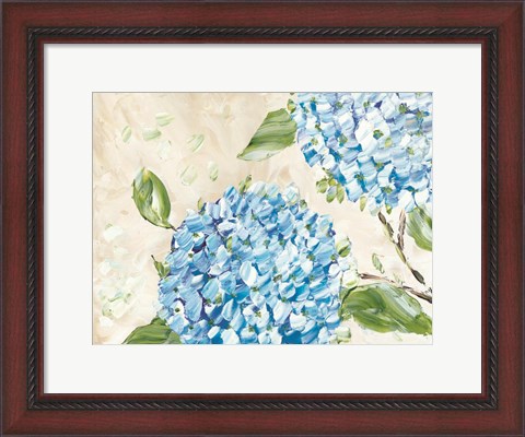 Framed Blue Hydrangeas II Print