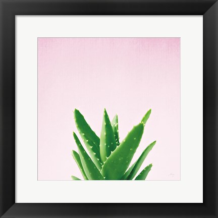 Framed Succulent Simplicity V on Pink Print