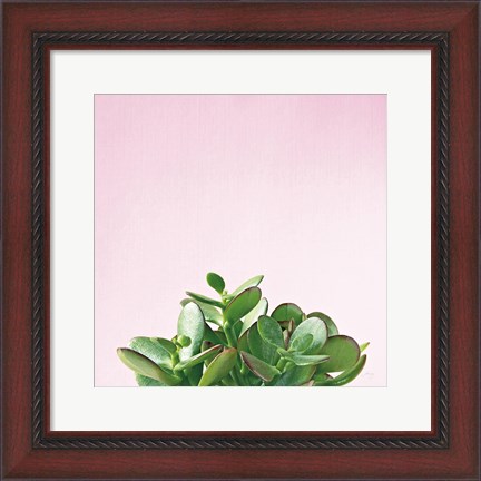 Framed Succulent Simplicity III on Pink Print