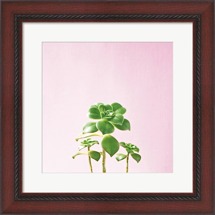 Framed Succulent Simplicity IX on Pink Print