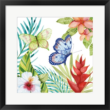 Framed Treasures of the Tropics VI Print