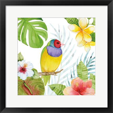 Framed Treasures of the Tropics V Print