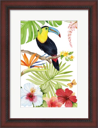 Framed Treasures of the Tropics I Print