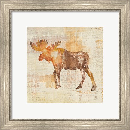 Framed Moose Study Print