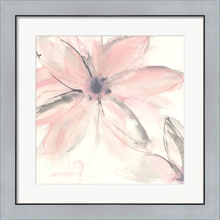 Framed Blush Clematis II Print