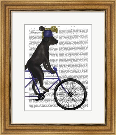 Framed Black Labrador on Bicycle Print