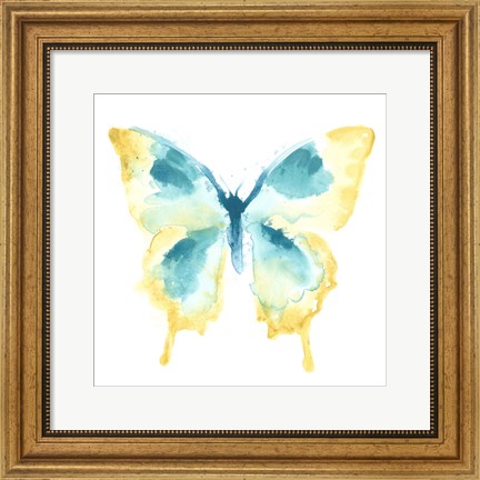 Framed Butterfly Traces II Print