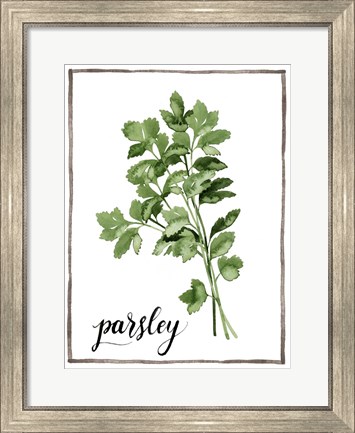 Framed Watercolor Herbs II Print