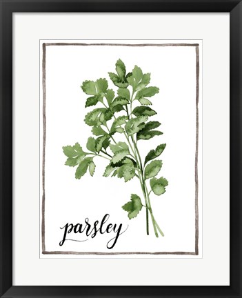 Framed Watercolor Herbs II Print