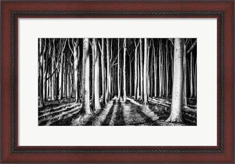 Framed Ghost Forest Print