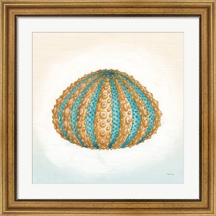 Framed Boardwalk Urchin Print