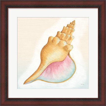 Framed Boardwalk Conch Print