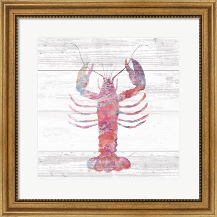 Framed Ocean Life II Print