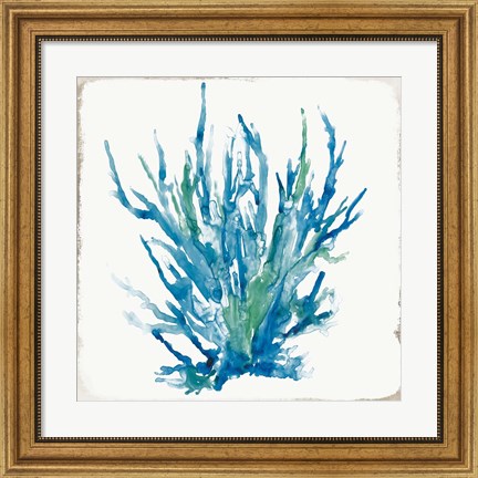 Framed Blue Coral I Print