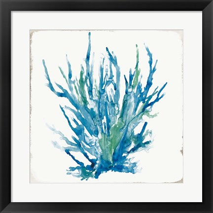 Framed Blue Coral I Print