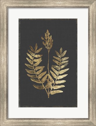 Framed Botanical Gold on Black III Print