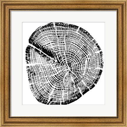 Framed Wood Grain Print