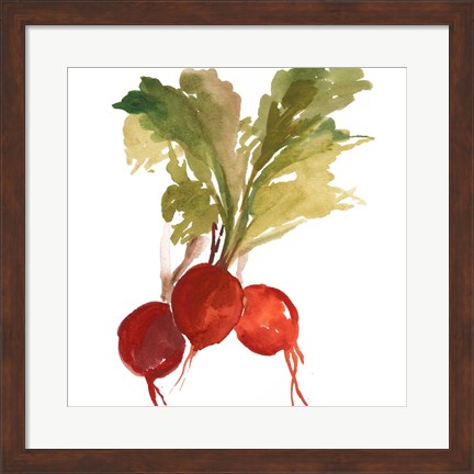 Framed Radish Print