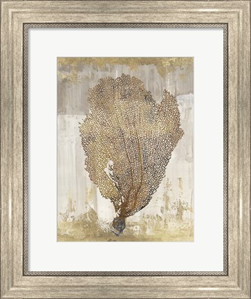 Framed Coral Splendor III Print