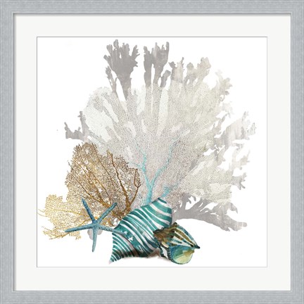 Framed Coral Print