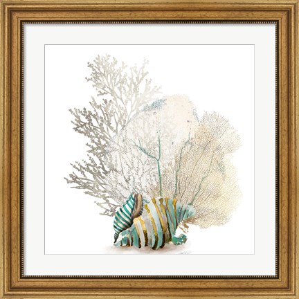 Framed Coral II Print