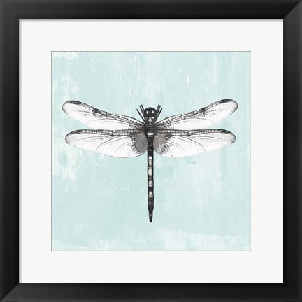 Framed Dragonfly I Print