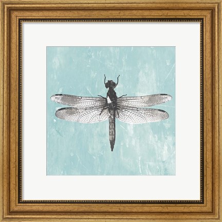 Framed Dragonfly III Print