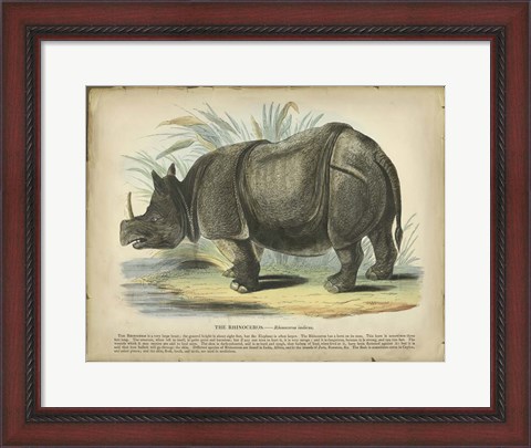 Framed Rhino Print