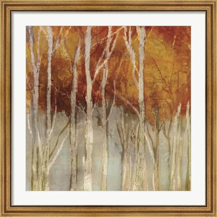 Framed Belgium Forest I Print