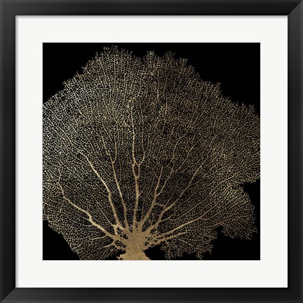 Framed Honeycomb Coral II Print