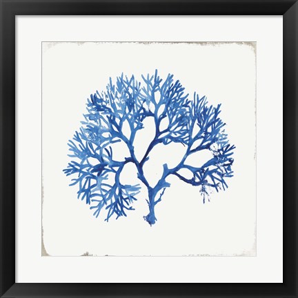 Framed Blue and Green Coral V Print