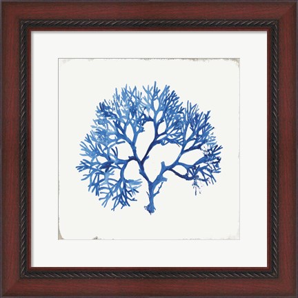 Framed Blue and Green Coral V Print