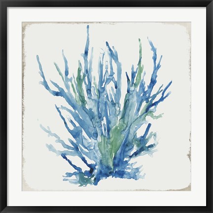 Framed Blue and Green Coral II Print