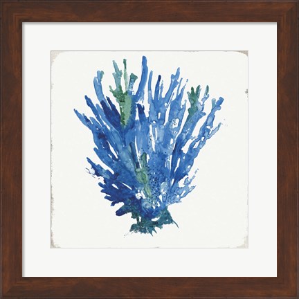 Framed Blue and Green Coral III Print