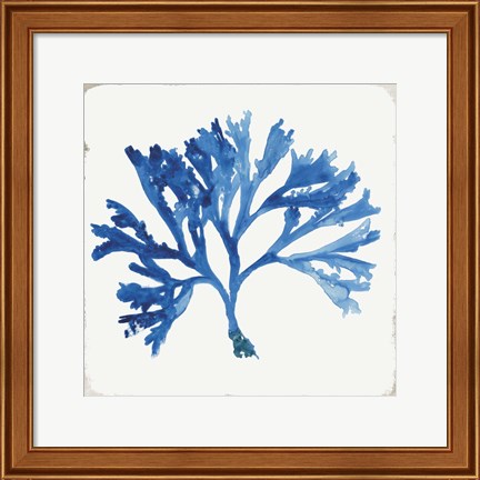 Framed Blue and Green Coral IV Print