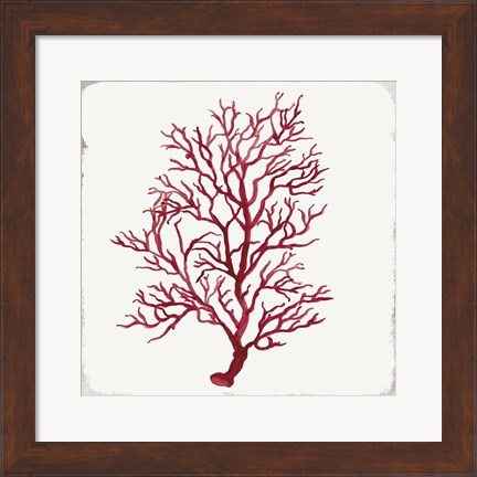 Framed Red Coral III Print