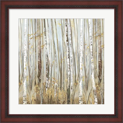 Framed Birchscape II Print