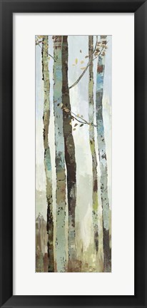 Framed Towering Trees II Print