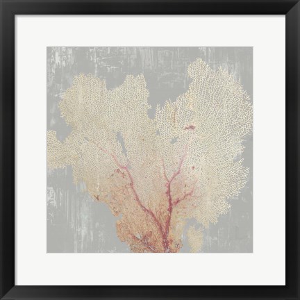 Framed Blush Coral I Print