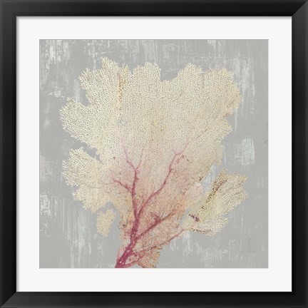 Framed Blush Coral II Print