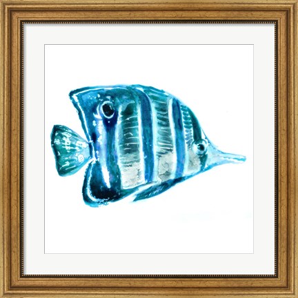 Framed Fish III Print