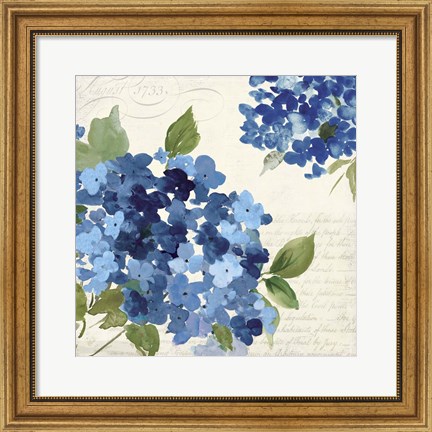 Framed Hampton Hydrangea I Print