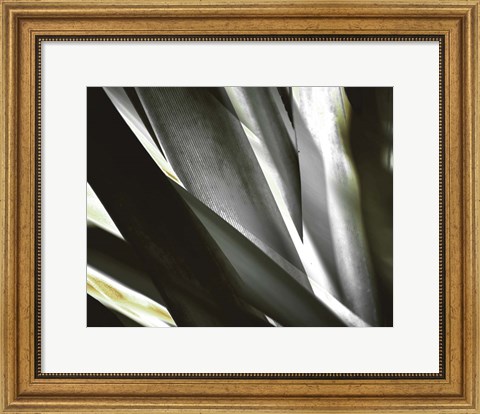 Framed Transparent Print