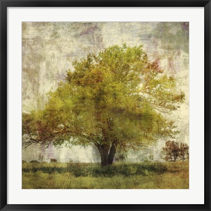 Framed Vintage Tree Print