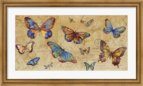 Framed Butterflies in Flight Print