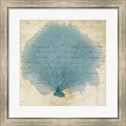 Framed Blue Coral IV Print