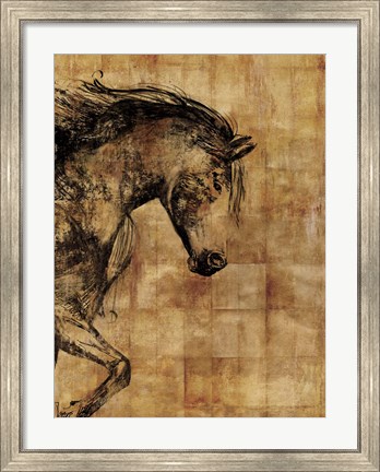 Framed Stallion I - Print on Demand Print